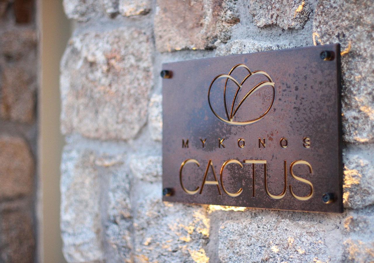 Mykonos Cactus Hotel Ornos  Exterior photo
